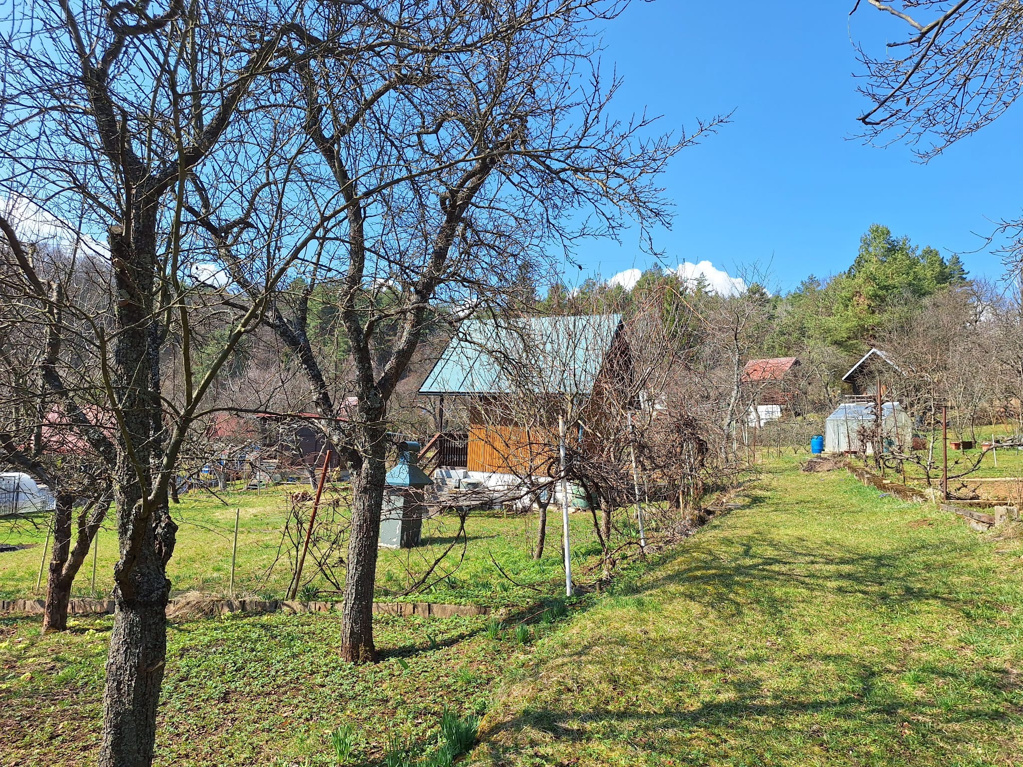 Záhrada s chatkou v pokojnom prostredí, len 10 min. od centra Banskej Bystrice! 🌿🏡
