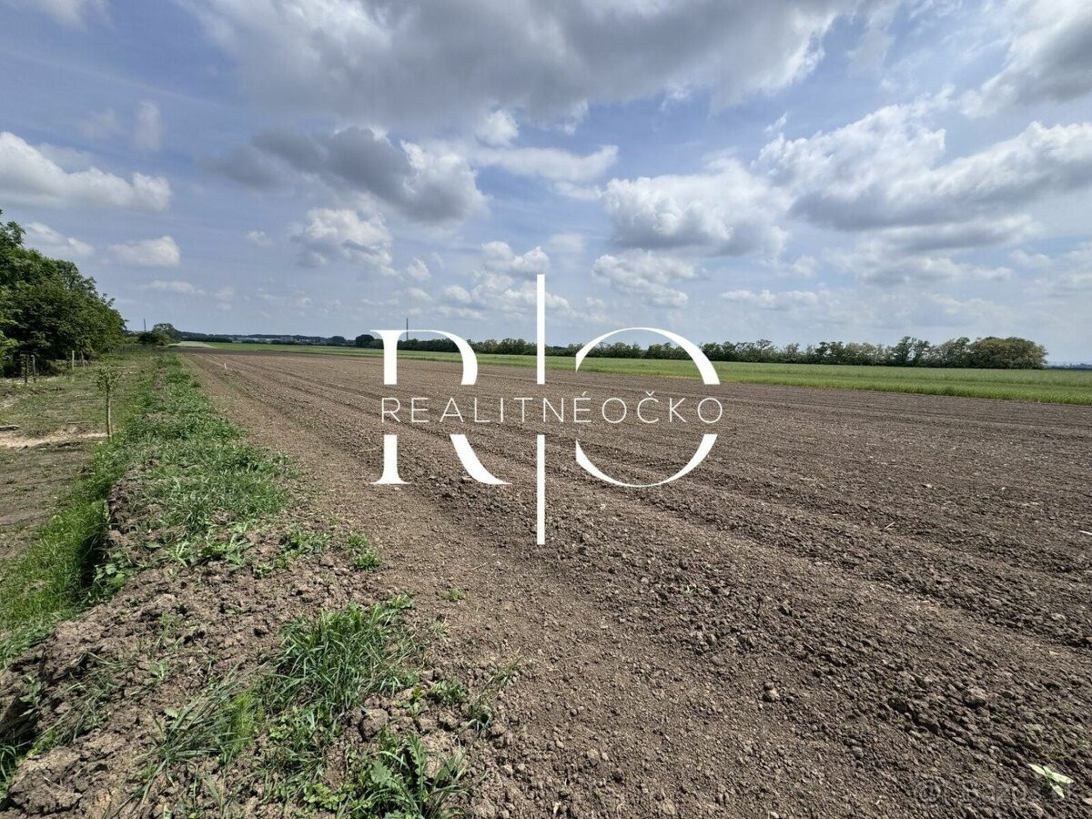Pozemok na predaj 14829, Nový Ruskov