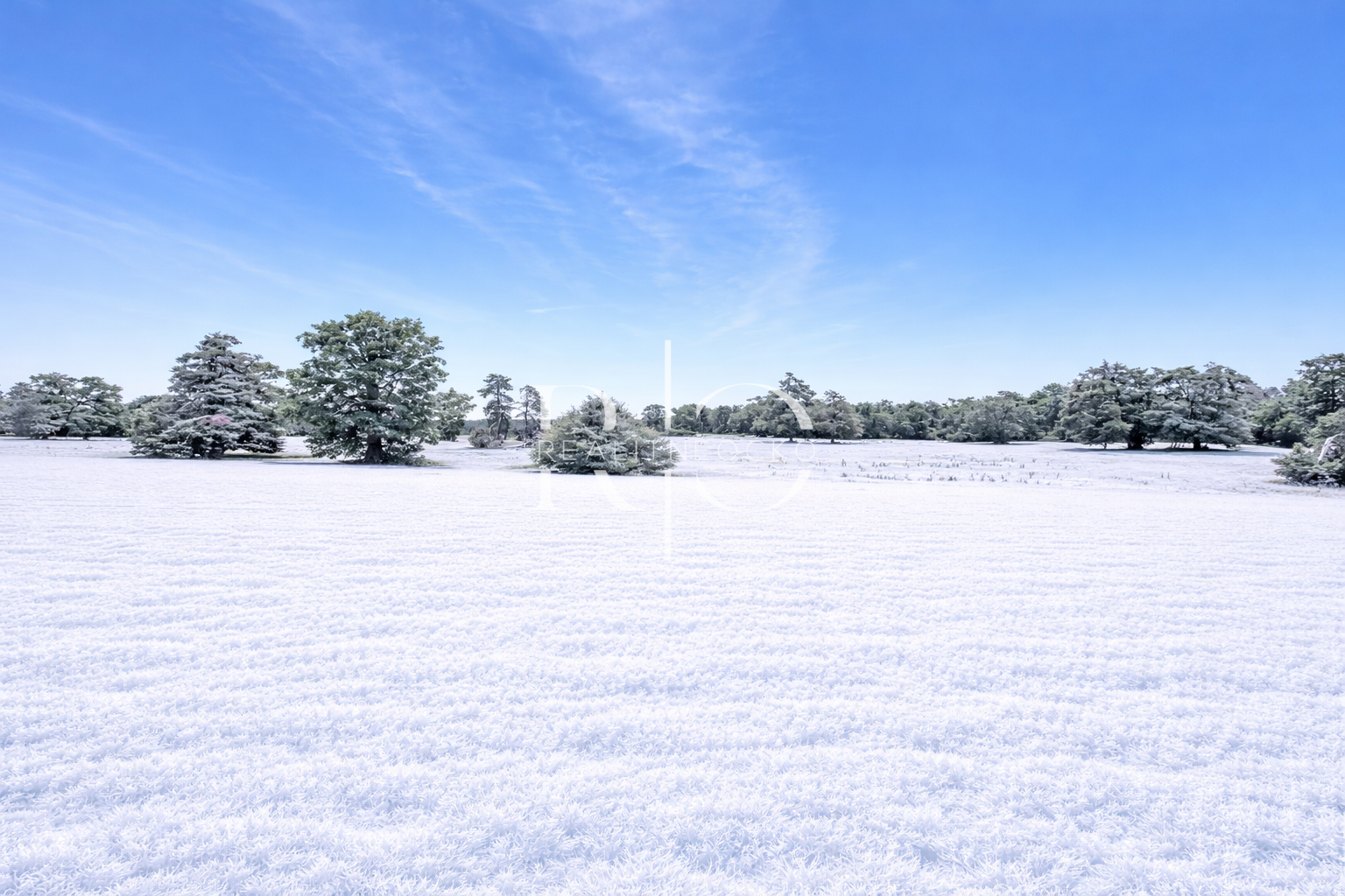 Na predaj slnečný stavebný pozemok - Červená Voda