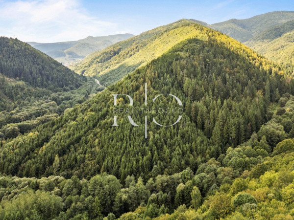 Chata | Brezno – Obrázok 1