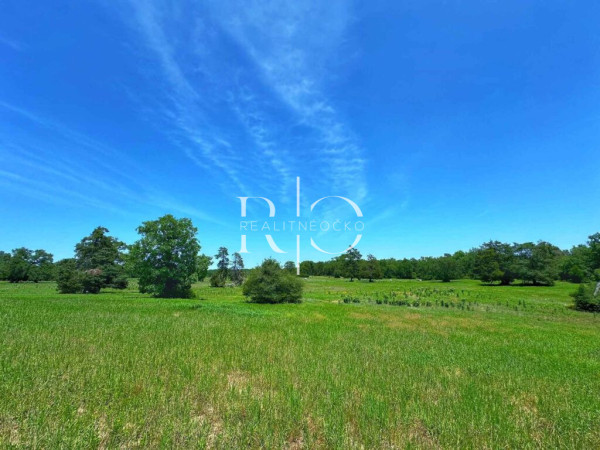 Pozemok Pre Rodinný Dom | Sabinov – Obrázok 1