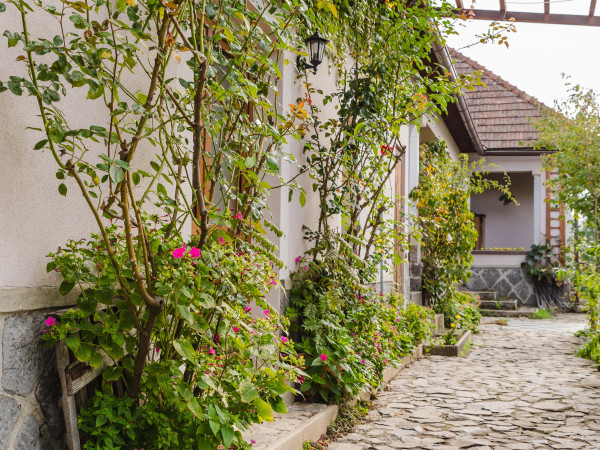 Farmárska Usadlosť | Levice – Obrázok 1