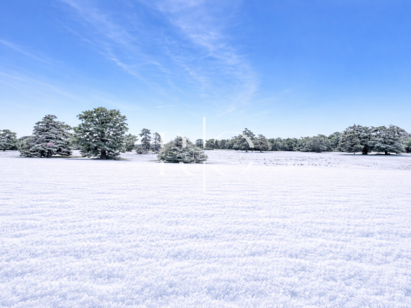 Pozemok Pre Rodinný Dom | Sabinov – Obrázok 1