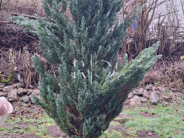 Pozemok Na Rekreáciu | Banská Bystrica – Obrázok 1